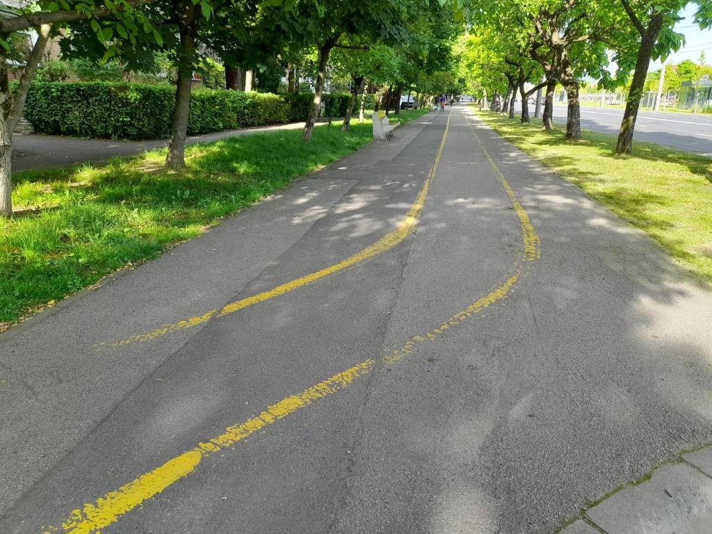 Pistă de biciclete umbrită de arbori, din împrejurimile prezentate de gazdă